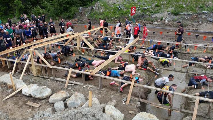 13432386_10157045532880564_3034039558724111074_n