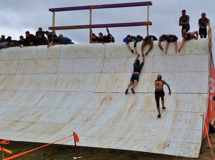 13434804_10157045615780564_7330002441329533018_n