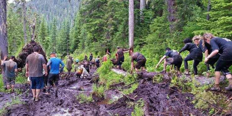 13435429_10157045626255564_1487204764861401292_n