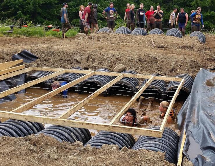 13508836_10157045605145564_4148432820495205480_n